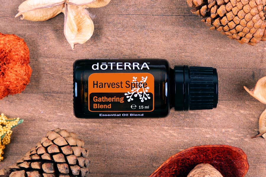 harvest spice 900x600